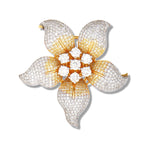 Load image into Gallery viewer, The Zoe