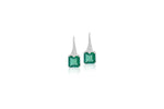 Load image into Gallery viewer, Emerald Elegance Drops
