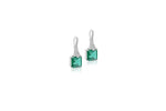 Load image into Gallery viewer, Emerald Elegance Drops
